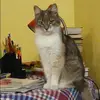 Отзыв от Марина Колосова